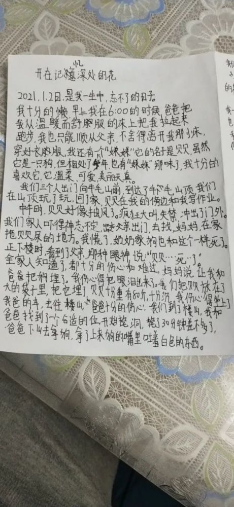 最新伤感日志撰写指南，步骤与情感表达全攻略