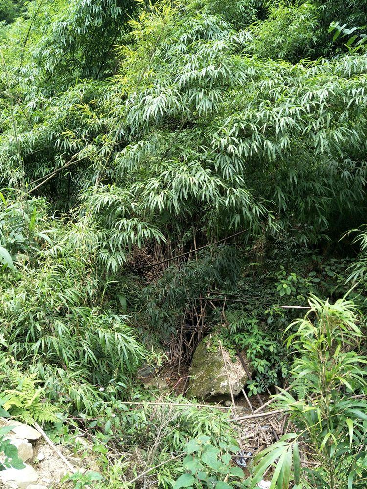 武冈最新招工，探索自然美景之旅，寻找内心平静之旅