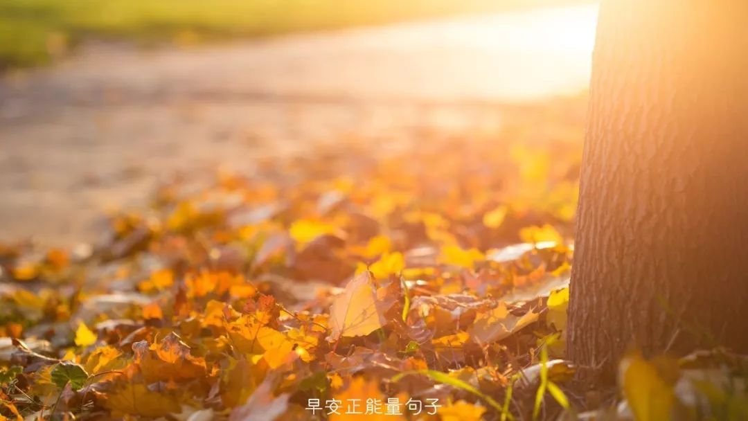 自然美景中的早安心语，启程寻找内心平和的浪漫邂逅