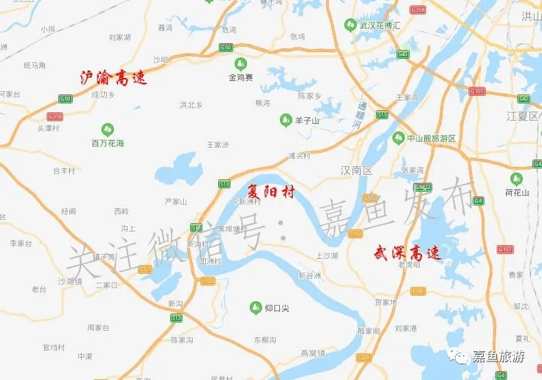 最新动态/消息