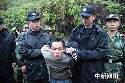 河池最新新闻热点，日常趣事与友情间的情感纽带