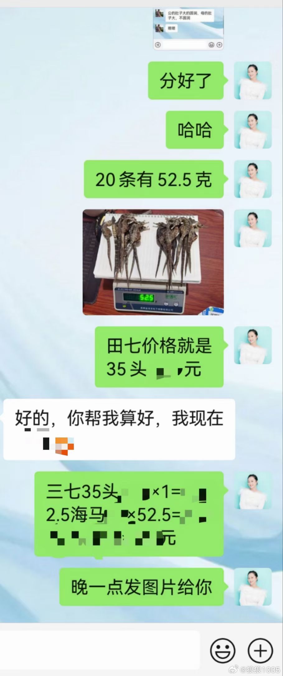 最新三七价格揭秘，小巷深处的宝藏小店