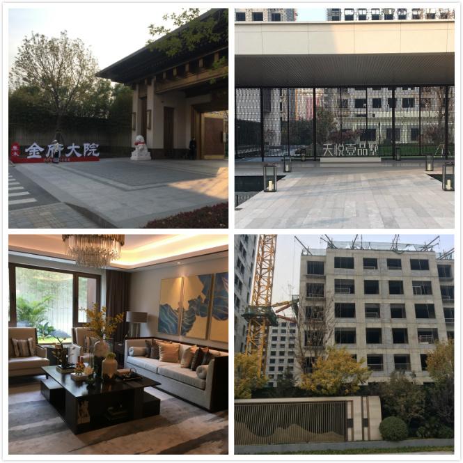 北京摇号最新,北京摇号最新，政策演变、影响与当下地位