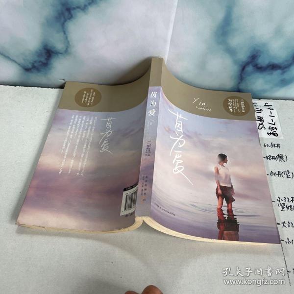 兰思思最新小说，情感与成长的奇妙世界探索