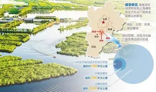 最新雄安新闻，区域发展前景与影响深度解析