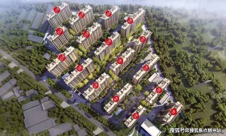 龙游最新招工信息及背后的温馨故事
