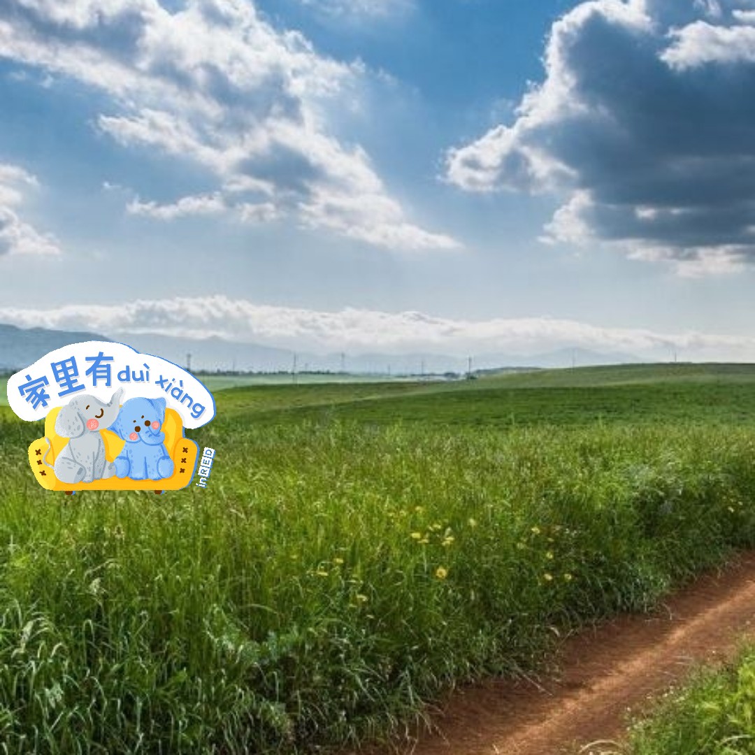 青青草青青最新视频，自然美景的心灵之旅启程！