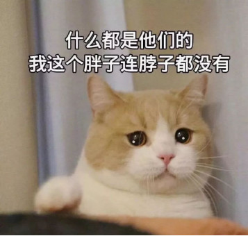云南草果今日最新价格，变化中的机遇与自我成长的自信与成就感