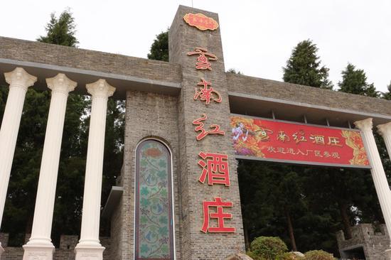 温馨抗病之旅，最新病情更新与分享