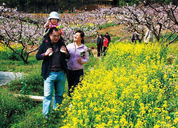 北京踏青最新指南，探寻春天的绿色之旅