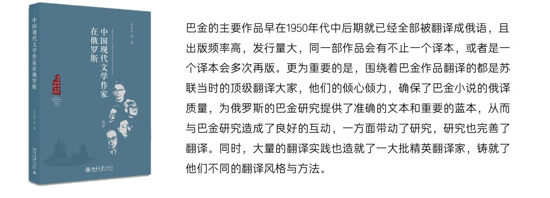 最新巴普深度解析与观点阐述