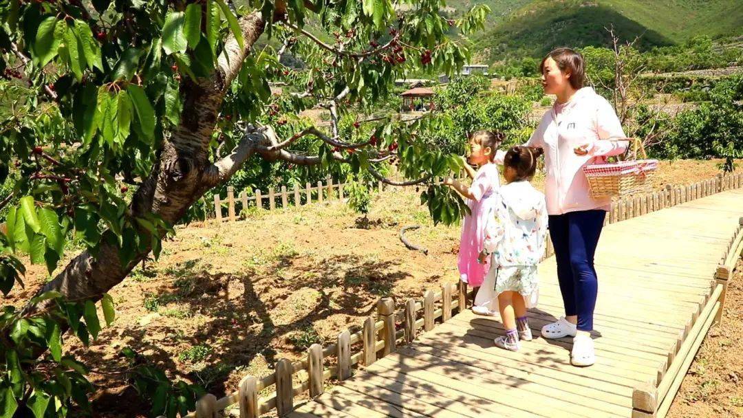陕西之美图集，深度解读陕西文化价值的一览之美