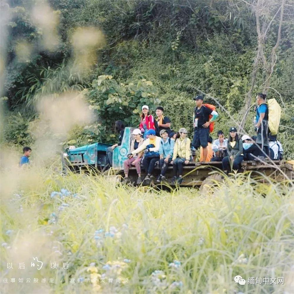 近期疫情更新与大自然呼唤，内心的平静之旅