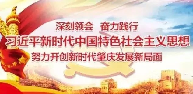 肇庆最新新闻热点与日常趣事中的友情纽带