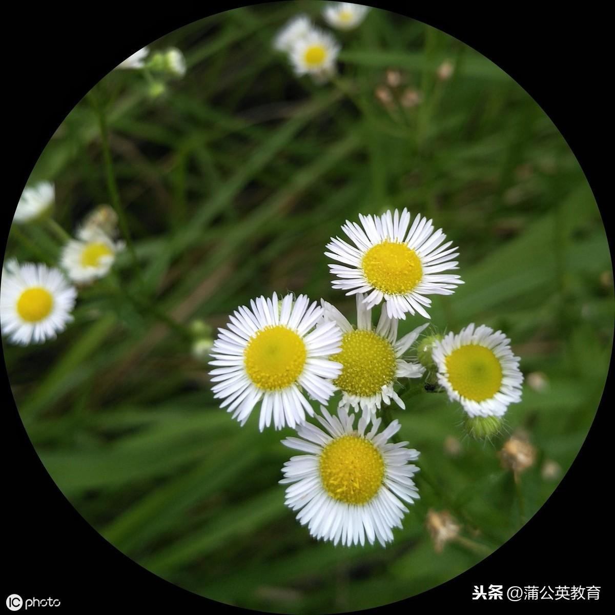 最新渠道价，开启自然之旅，探寻内心平和的秘境