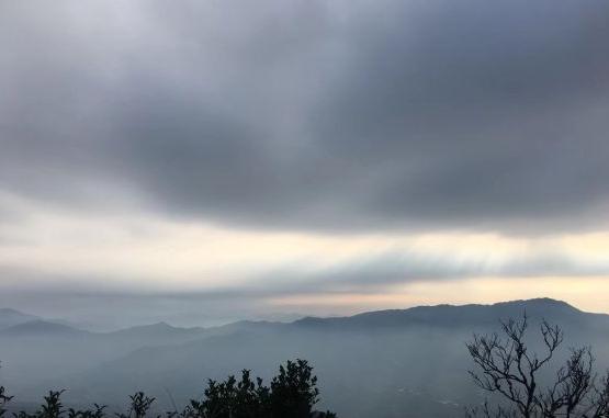 最新工具人，自然美景的治愈之旅探索者