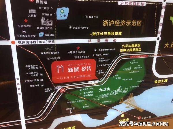 龙蟒佰利最新动态，深度分析与个人观点