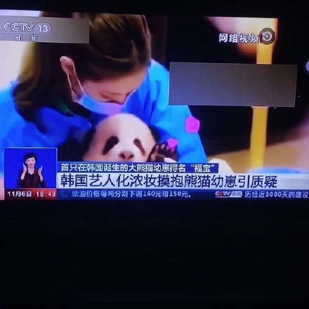 动感小站最新视频