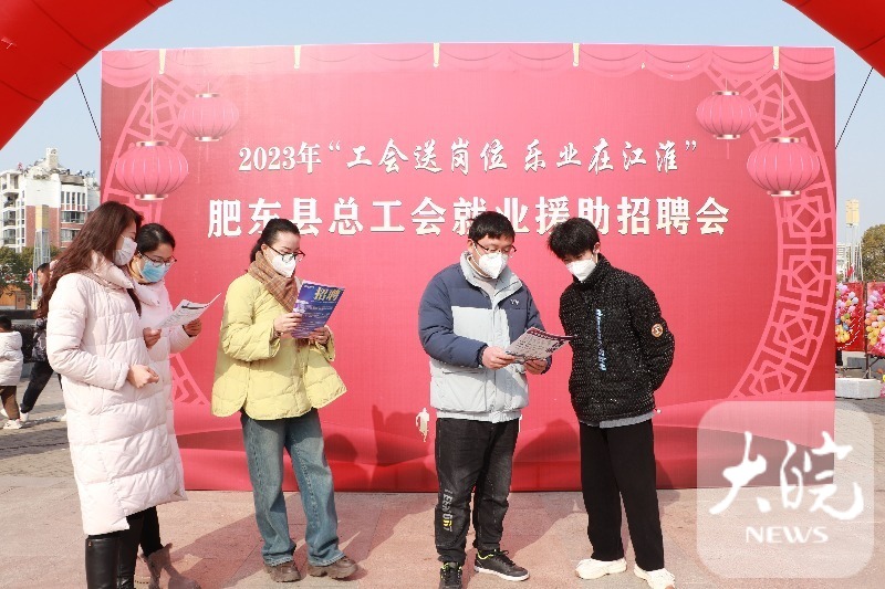 肥东最新招聘信息全面概览