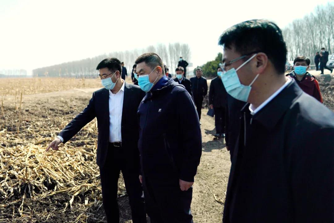 肇东最新天气预报，天气变化对个人生活的影响分析