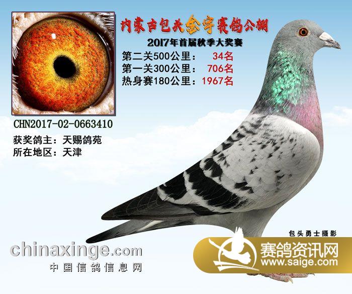 大同公棚最新公告