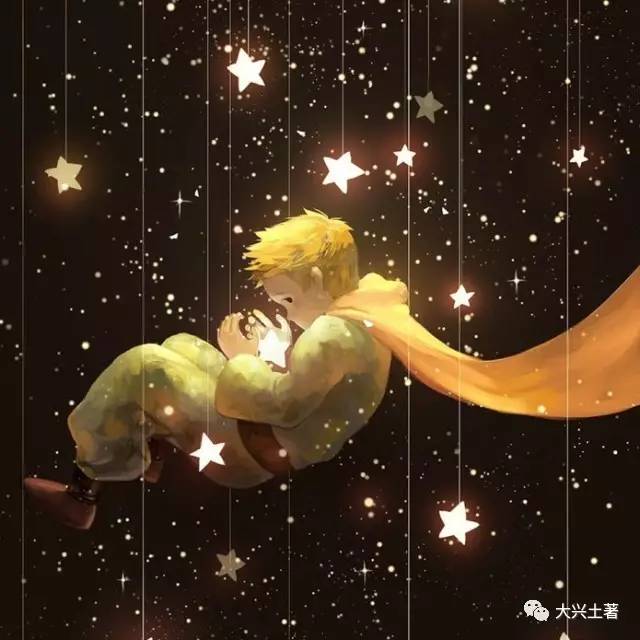 王子探索自然美景之旅，鼓舞人心的旅程最新消息