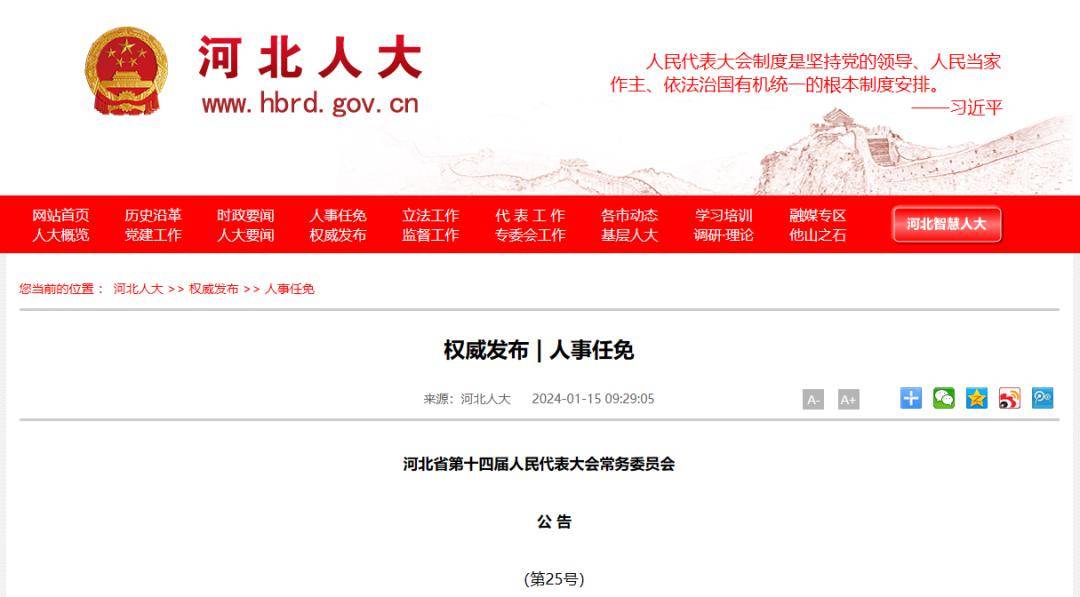 最新动态发布