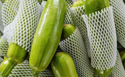 揭秘西葫芦最新价格行情！市场动态一网打尽🌿🥒