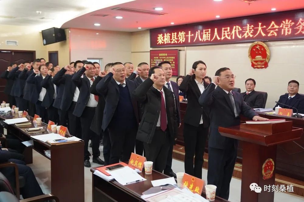 桑植县最新人事任免及动态更新