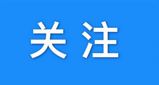钱盆网最新动态概览