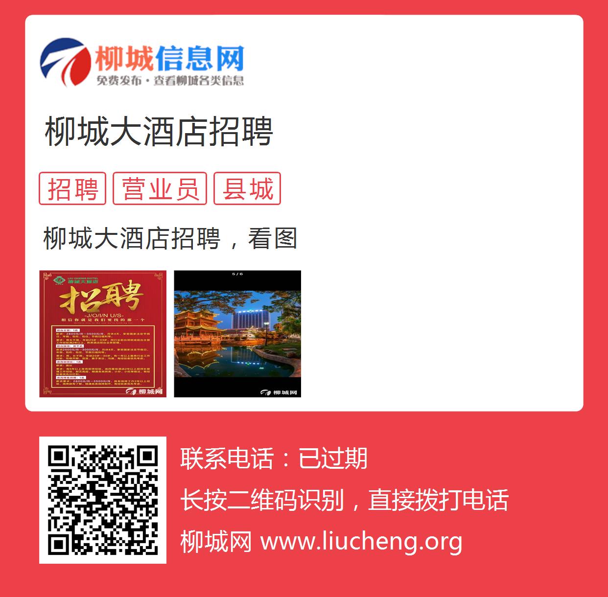 柳市最新招聘信息