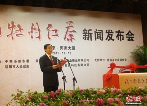 河南洛阳最新新闻报道