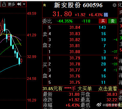 新安股份最新动态更新，最新消息汇总