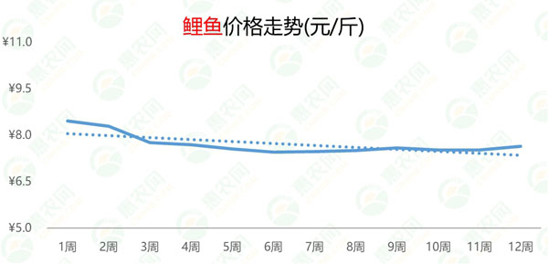 最新鲤鱼价格行情及市场走势分析与预测