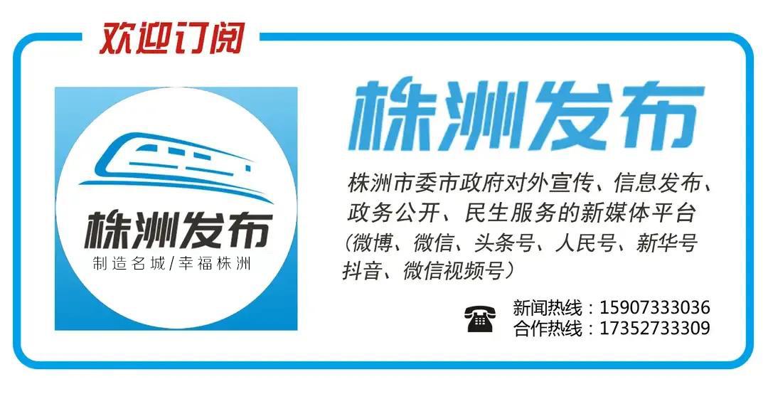 株洲最新招聘信息发布✨