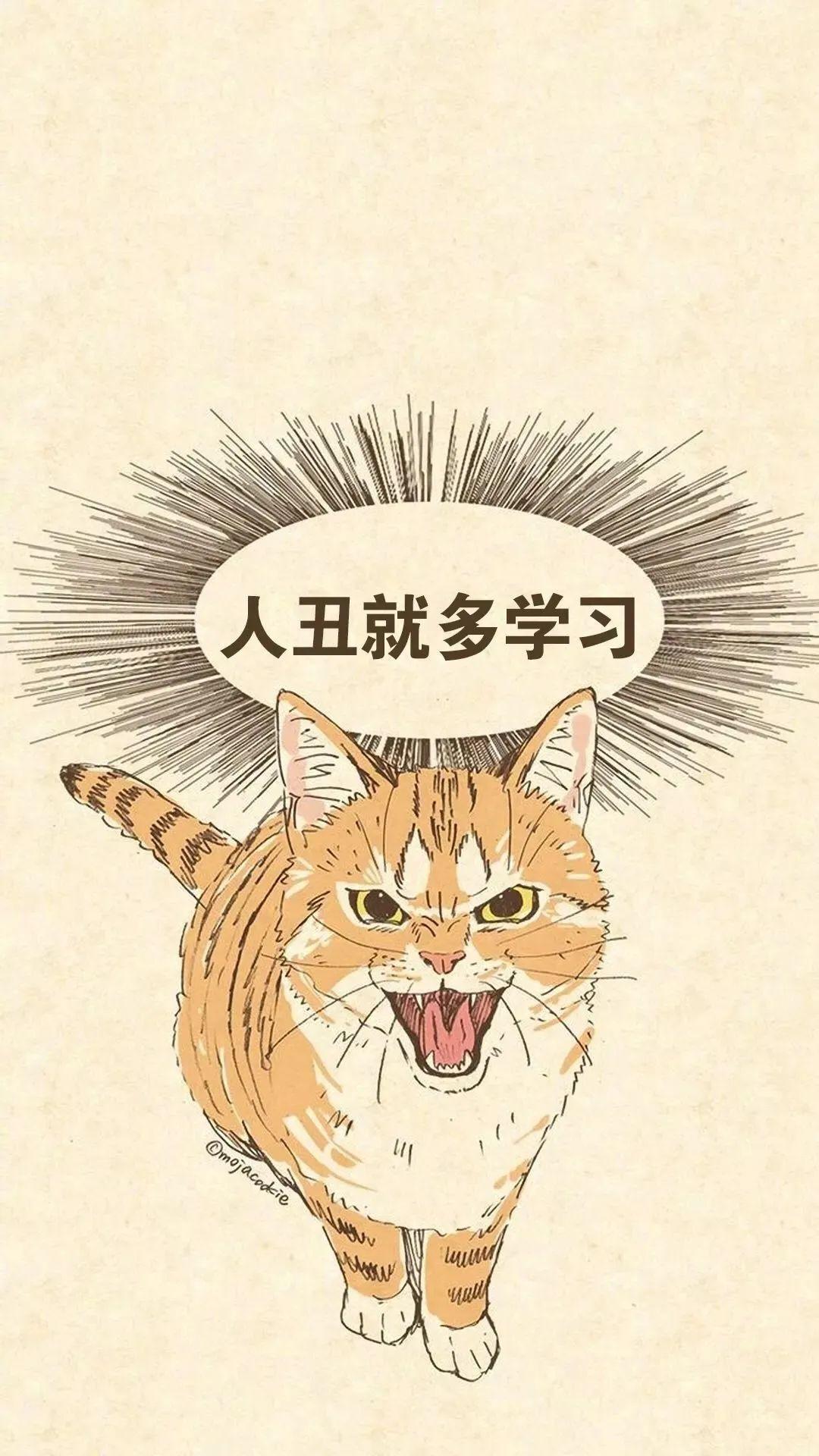 最新流行儿歌，唱响励志之歌，拥抱学习与变化的魅力