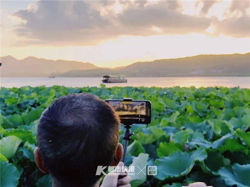 最新台风动态，路径分析与发展趋势科普