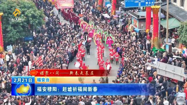 福安城市角落的温馨日常最新报道