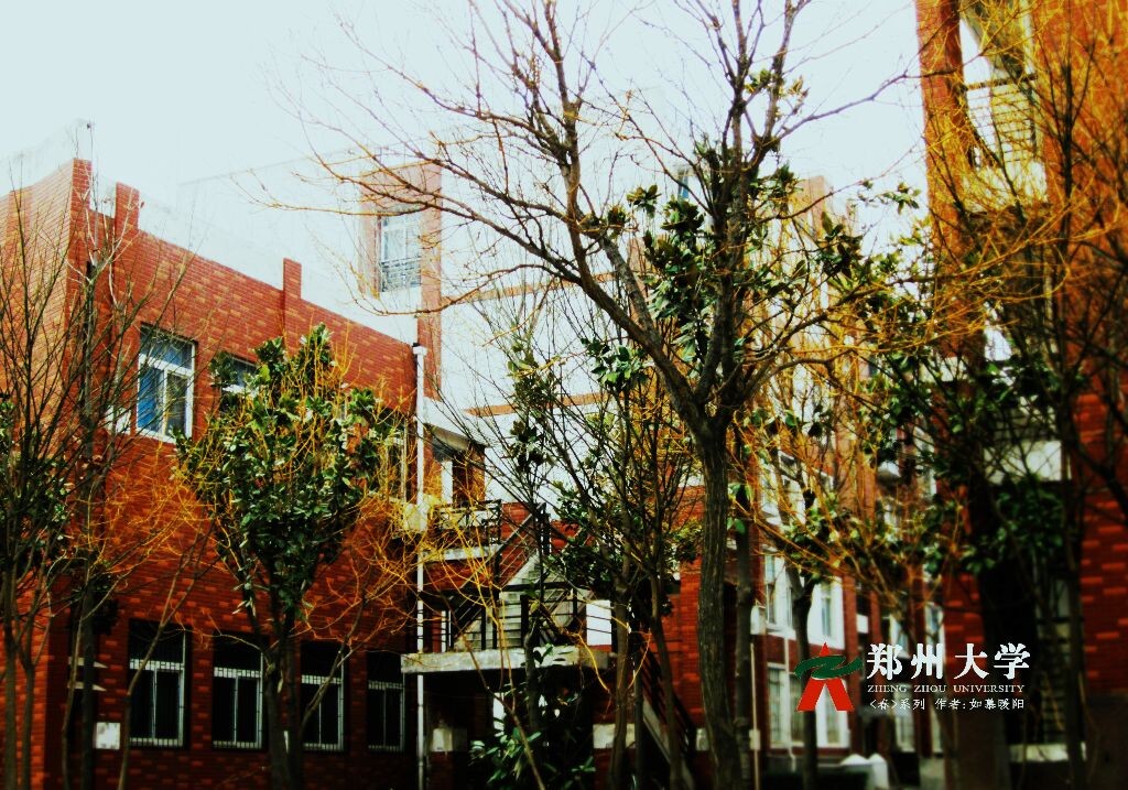 郑州大学最新动态，小巷深处的独特风情探秘