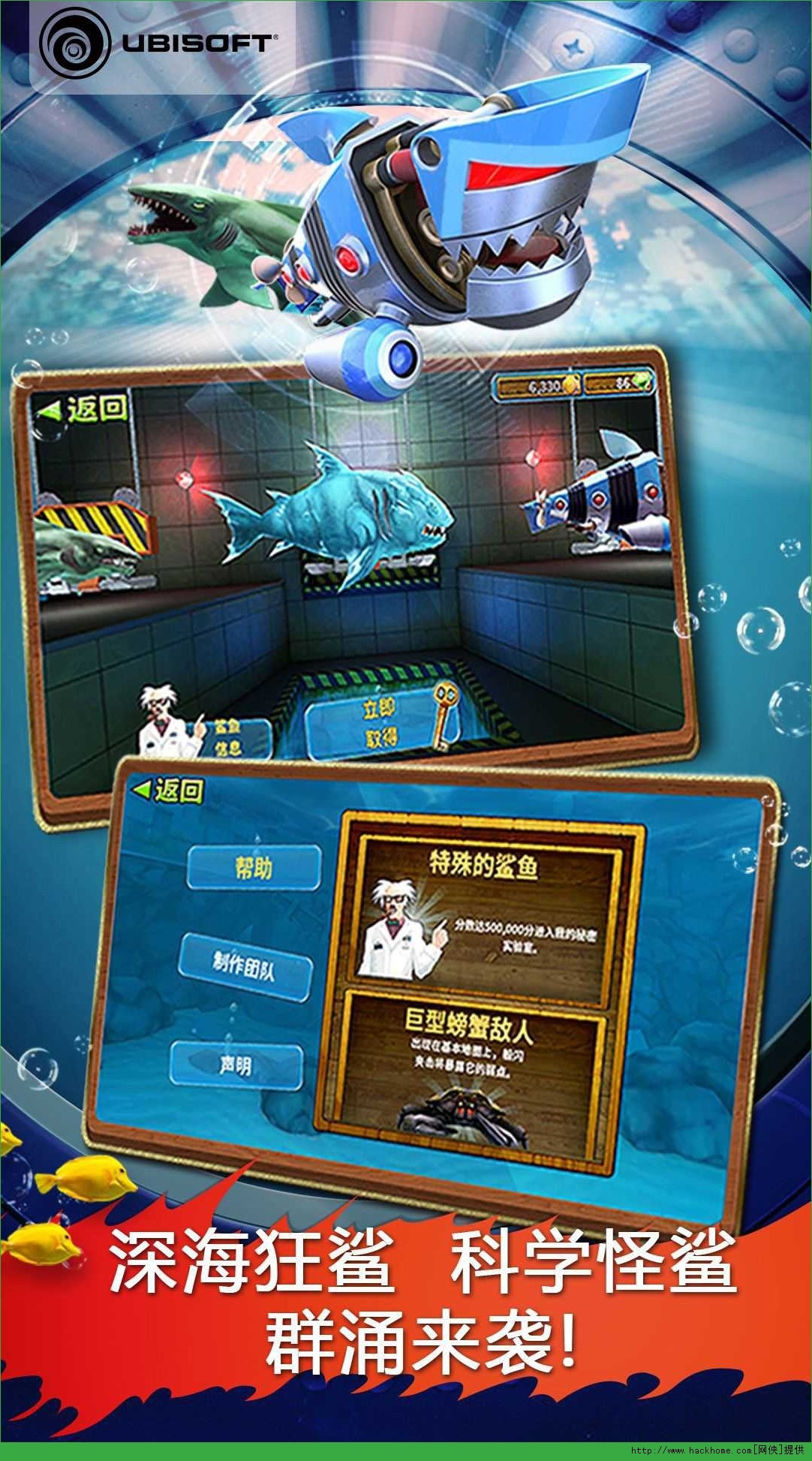 饥饿鲨进化最新版攻略指南，从入门到精通